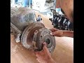 clutch plates type and there use🥰dry type clutch plates wet type clutch plates#💯