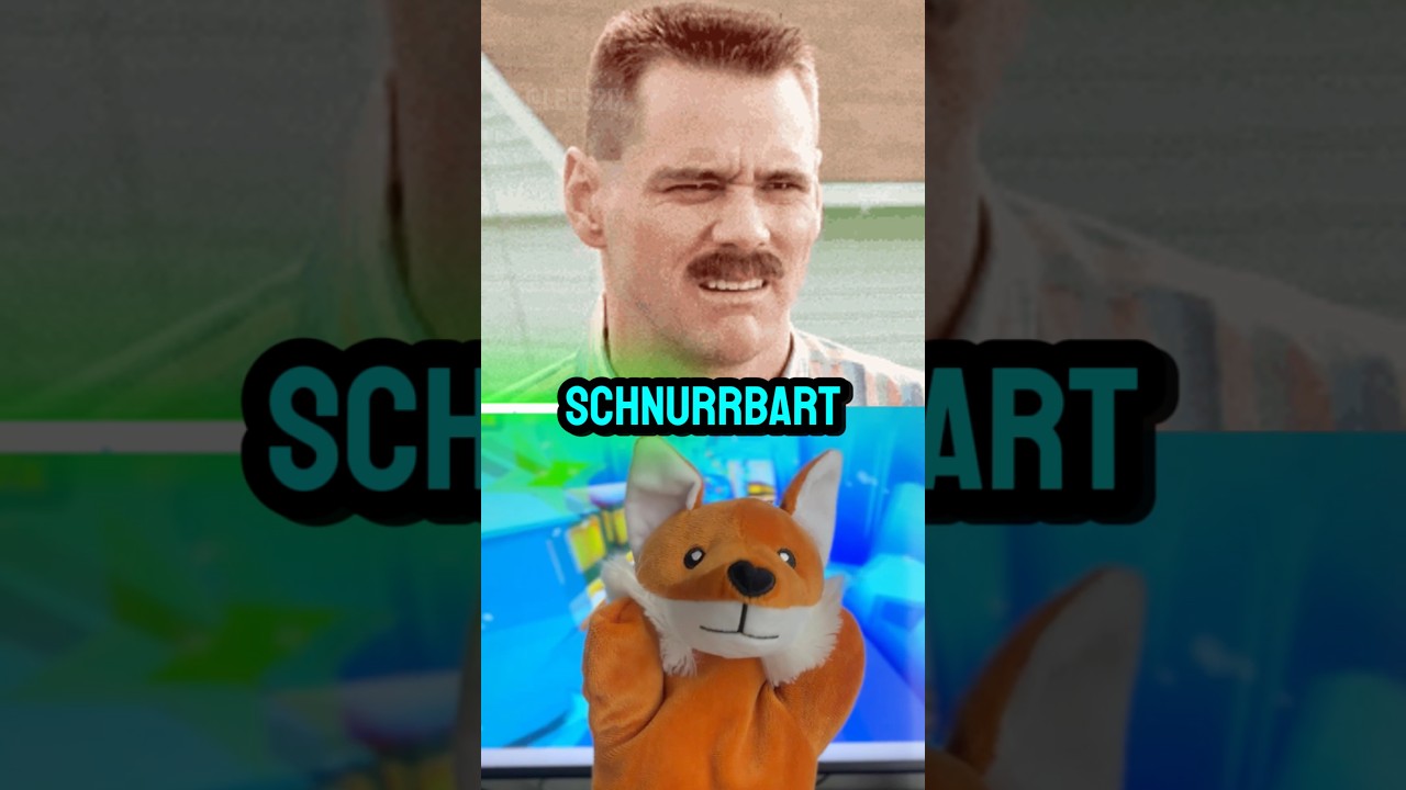 Die seltsamsten Gesetze der Welt