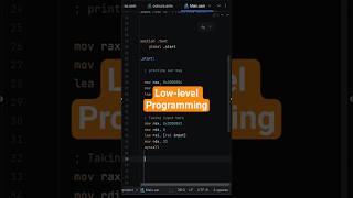 Low level programming #assemblylanguage #coding #programming #codingforbeginners #codingmotivation
