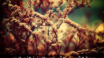 سورة الشمس - تلاوة خاشعة للشيخ عبدالعزيز الزهراني