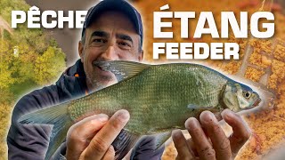 LA PÊCHE EN ÉTANG AU FEEDER - Mes conseils, techniques et astuces. 4K