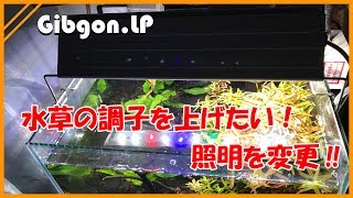 【水草】水草の調子が悪いのでアクロ　TRIANGLE LED GROW 300に変更しました