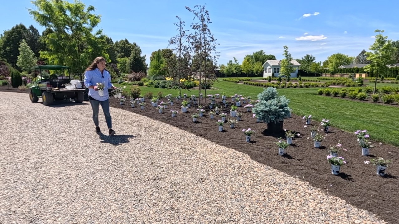 Planting the New for 2026 Powerball Hydrangeas, Annuals & the