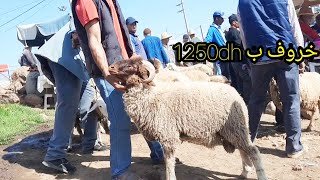 سوق السبت خروف ب1250dh إفران تمن مزيان الحمد لله