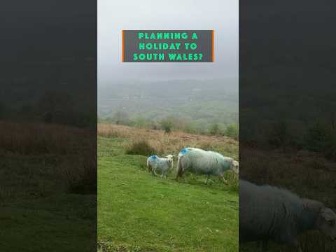 Exploring the charming corners of Crickhowell, Wales 🏞️ 🏴󠁧󠁢󠁷󠁬󠁳󠁿🇬🇧 #tourism #shorts #travel