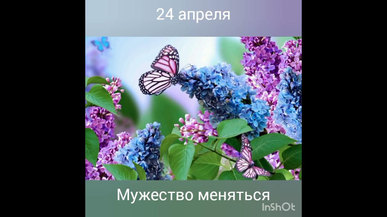 аланон книга мужество меняться. мужество меняться. боже дай мне разум и душевный покой. мужество меняться ал анон. мужество меняться.