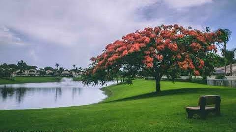 #سورة_المعارج بصوت القارئ اسامة صبحي حسين #تلاوة #القرآن_الكريم #قرآن #القرآن #قران