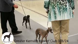 Greater Kerrville Kennel Club 3/8/24 and Judge Ted Eubank