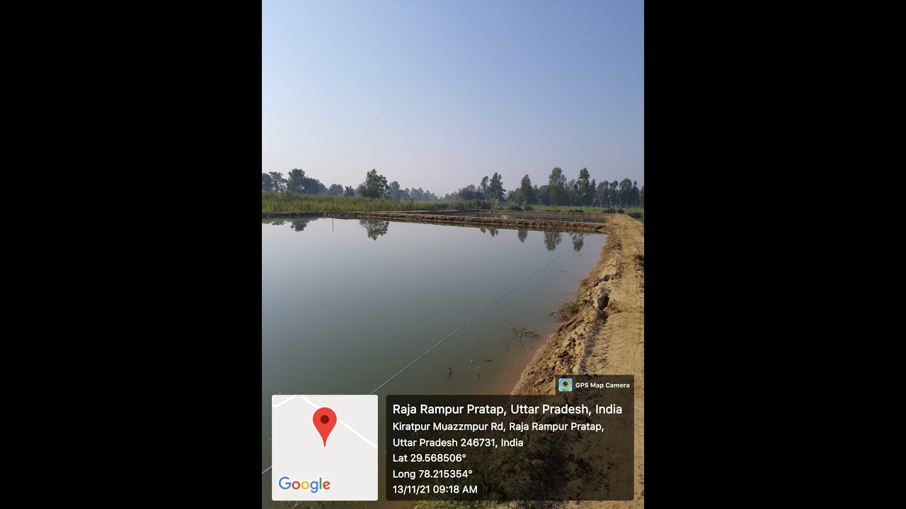 Singi fish farming in liner biofloc pond || Agri Sons