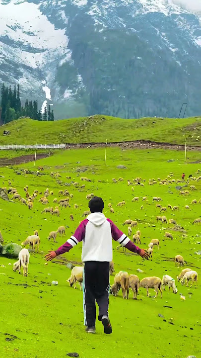HEAVEN ON EARTH KASHMIR#kashmir#valley#viral#kashmiri#pahalgham#gulmarg#sonamarg#kashmirvalley#vale