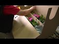 Verpacken und Versand blühender Topfrosen