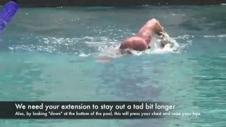 Coach Robb's 1 on 1 Swim Analysis - May 2016 (Male)