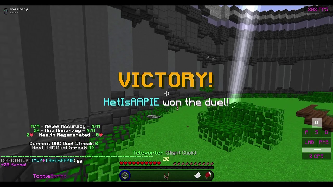 HetIsAAPIE vs Fly hacker