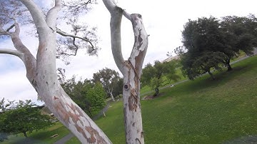 RC27 kiss firmware test