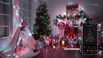 BrizLabs RGB String Lights Premium Series