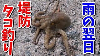 【高齢者向け】人に話したくなる。食べ物の雑学クイズまとめ