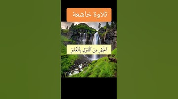 تلاوة خاشعة #youtube #اكسبلور #فايسبوك #القرآن_الكريم #لايك #المصحف #duet #تيك_توك #تليگرام