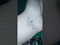 ياحبيبي ياعلي نبض قلبي ياعلي ياحبيبي ياعلي نبض قلبي ياعلي