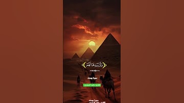 ما تيسر من سوره يوسف بصوت القارئ عامر السعيدي