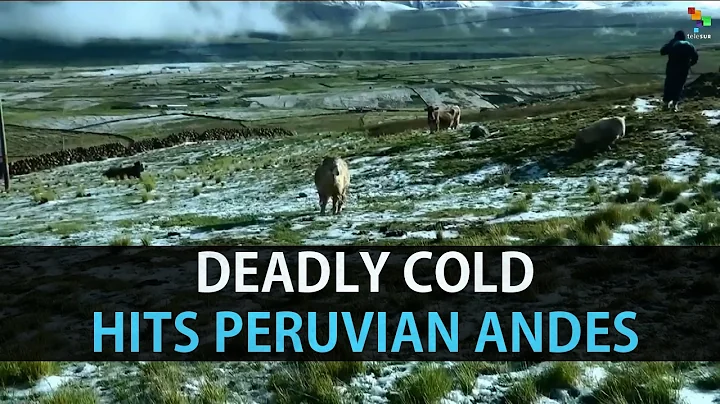 Deadly Cold Hits Peruvian Andes