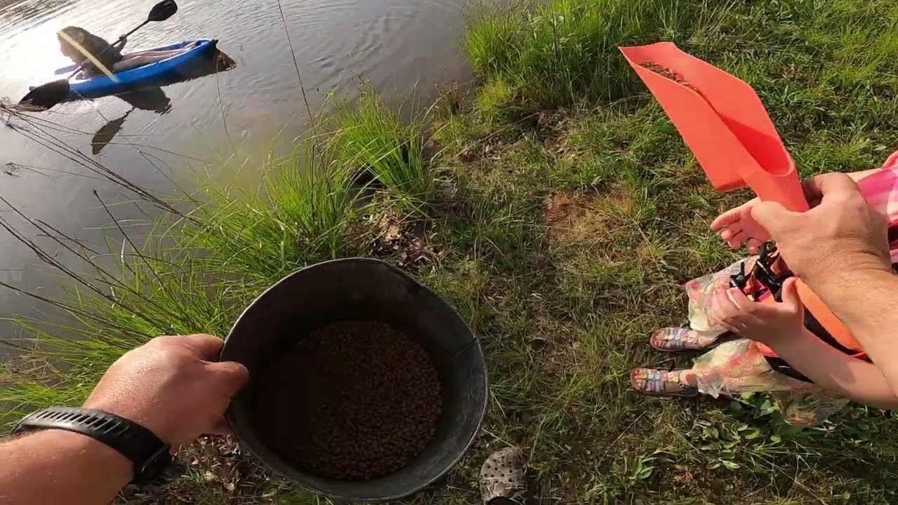 6th sense speed glide swimbait vs pond bass