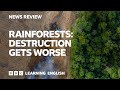 Rainforests: destruction gets worse: BBC News Review