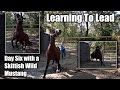 Learning to Lead | Day Six with a Wild Mustang