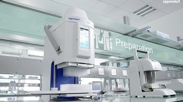 Molecular Biology  - even the smallest step is essential in The Eppendorf Workflow Movie