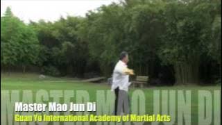  Master Mao Jun Di - Qianlong Fan