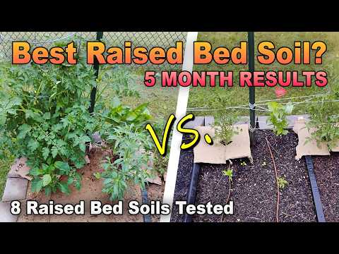 We Tested 8 Raised Bed Soils—5 Months Later, We Have Results