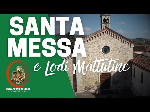 Video: Mondo vivente delle cose