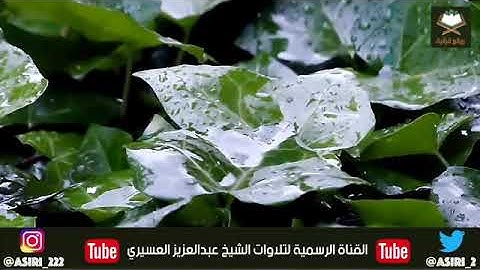 صوت جميل سورة النبأ للشيخ / عبدالعزيز العسيري قراءه جداً جميله