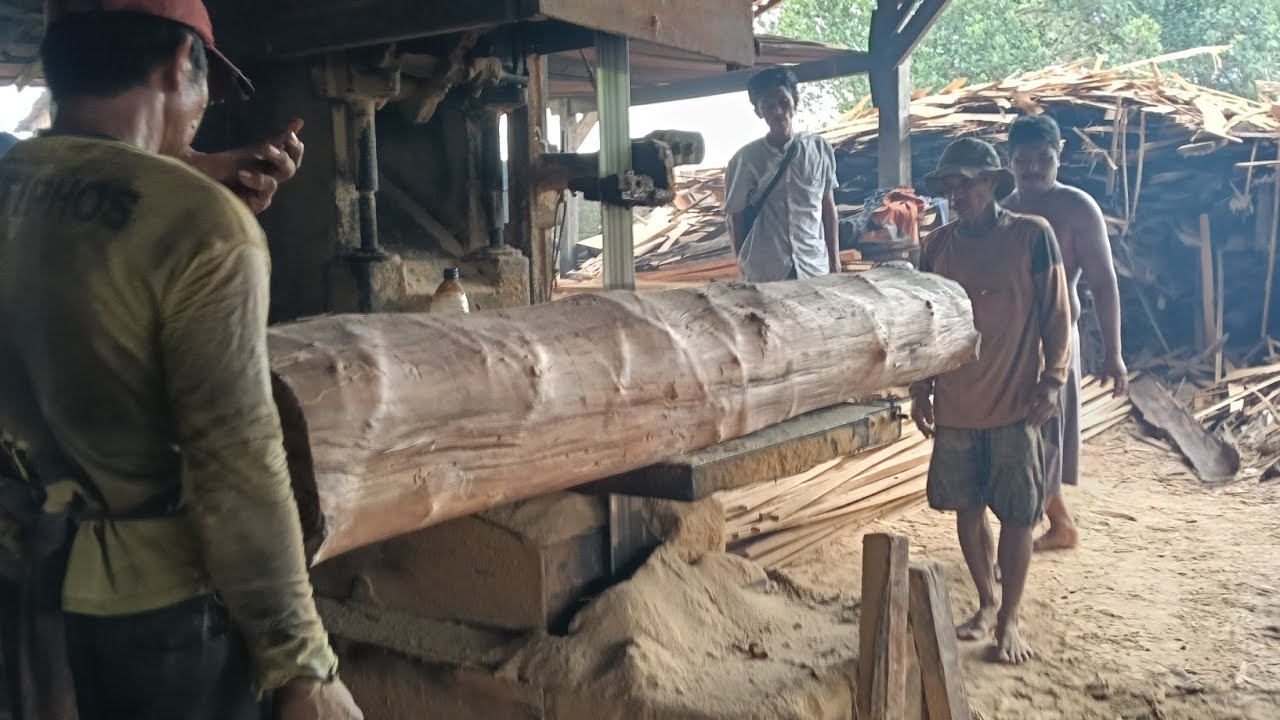 #Exsekusi kayu jati Resmi#woodworking 4 x lebar#wood jati glondong🇮🇩