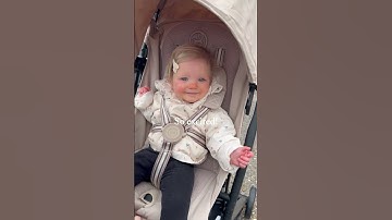 Adventures with the Cybex Libelle