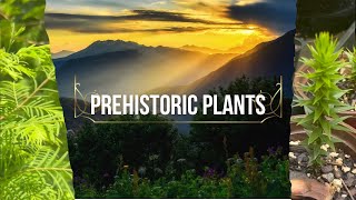 Living Fossils:  Growing Prehistoric Trees at home