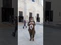 Pearl Qatar Masjid Ehab Visit #cute #cutebaby #baby #love #fypage #kids #fyp #parents #child #urdu