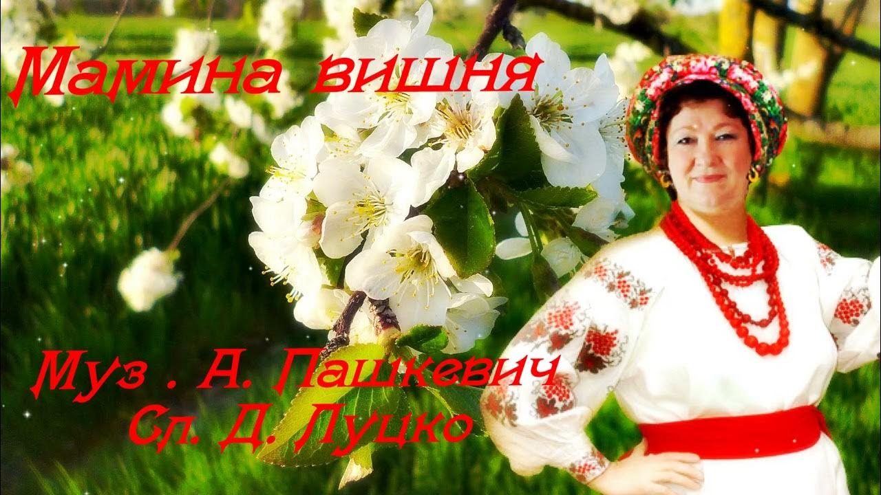 Мамина вишня в саду. Мамина вишня в саду