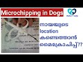 Microchip in dogs|Golden Retriever Malayalam|KCI Certificate Malayalam