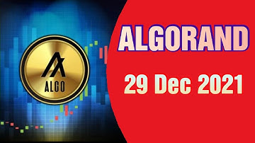 Algorand price prediction 29 Dec 2021, Crypto Shakeel, algorand algo today latest news & forecast