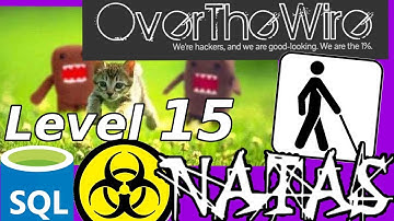 Python Web Hacking: BLIND SQL Injection | Natas: OverTheWire (Level 15)