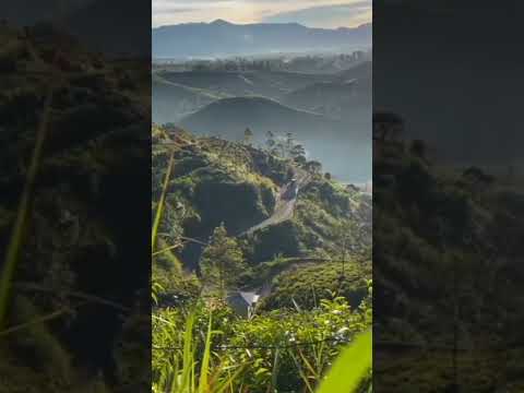 Kata Kata Jawa