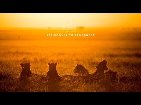 Rediscover to Reconnect