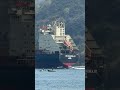 MSC ELEONORA III Container Schiff in Istanbul im Bosporus