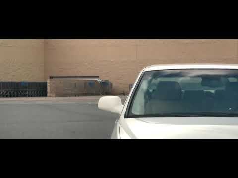 American Beauty inspired “ Bag Wind Dance”