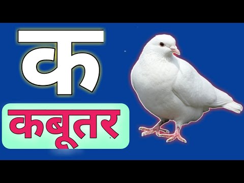 k se kabutar,Kamal hindi varnamala song - YouTube