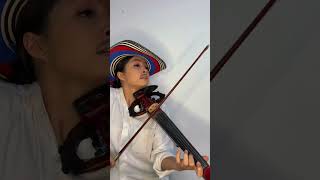 Duelo de Acordeón Versión Violín 🎻