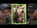 Aron Snyder Faced Down a Grizzly Bear | Joe Rogan