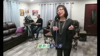 SEVEN LONELY DAYS 中英文版 我已爱定你 YYLKB MP4