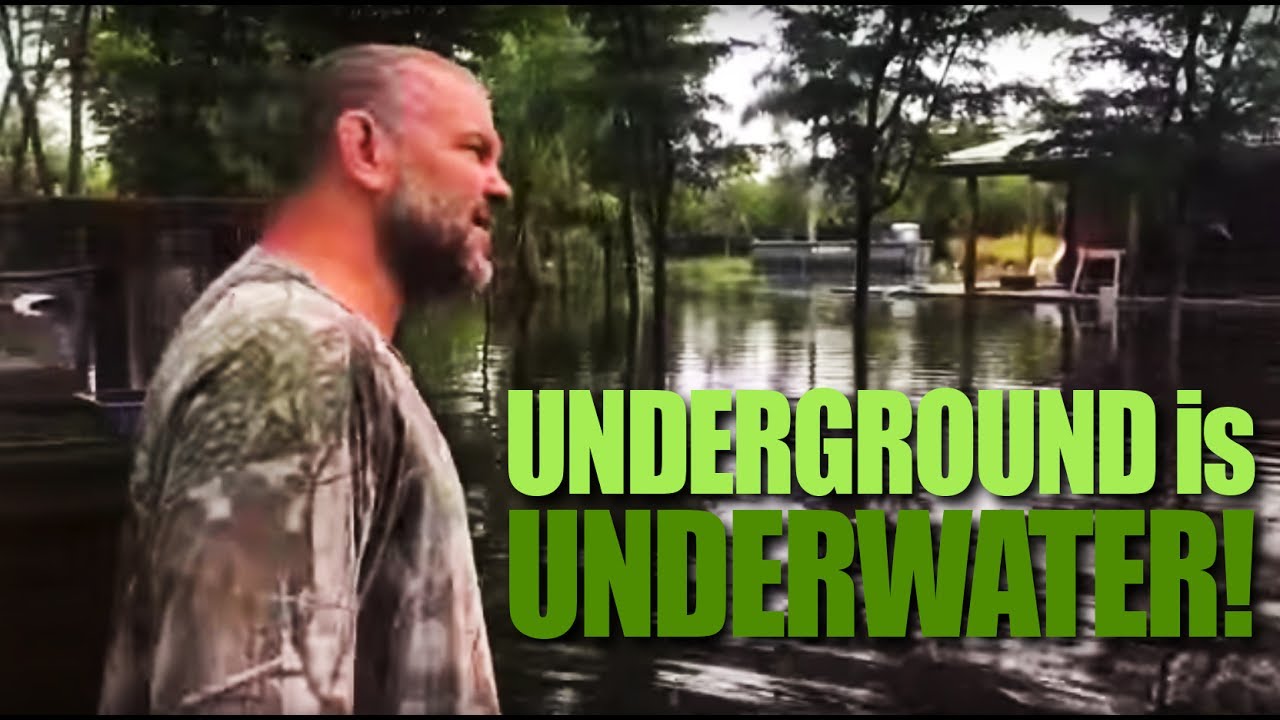 tarantula spider Underground is Underwater!