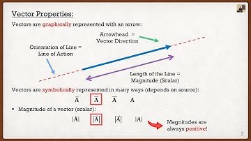 Engineering Mechanics: Statics Theory | Scalars and Vectors
